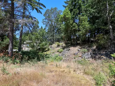 View 17
