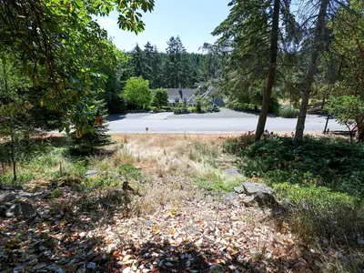 View 12