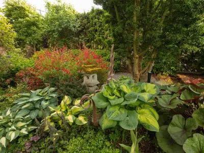 View 24