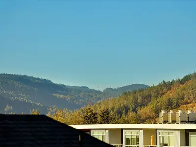 View 44