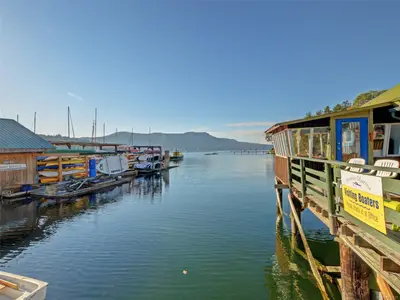 View 40