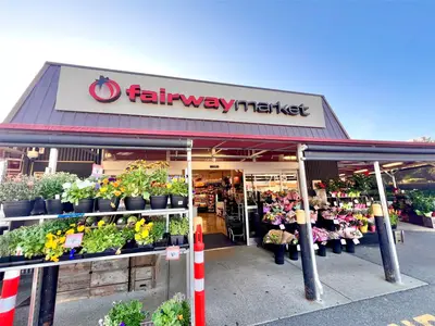 View 31