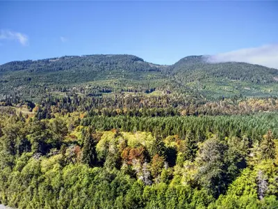 View 85