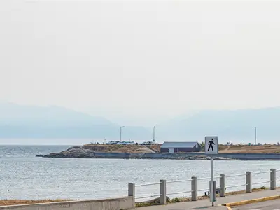 View 51