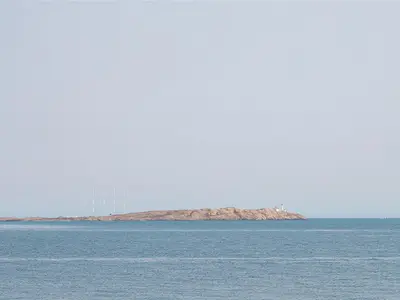 View 50