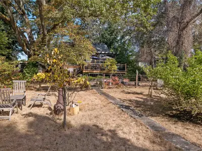 View 46