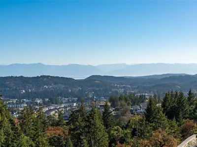 View 84