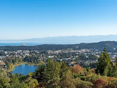 View 81