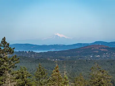View 86