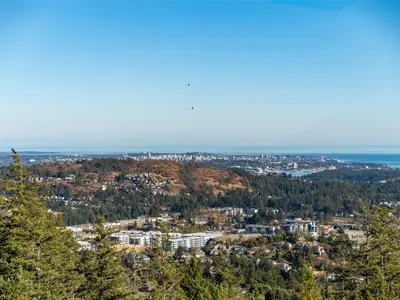 View 82