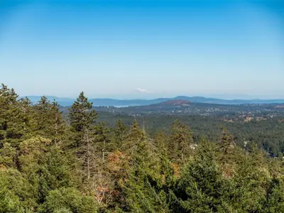 View 83