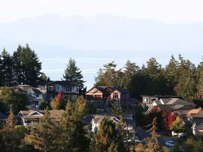 View 48