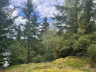 View 6