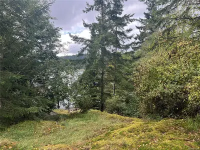 View 5