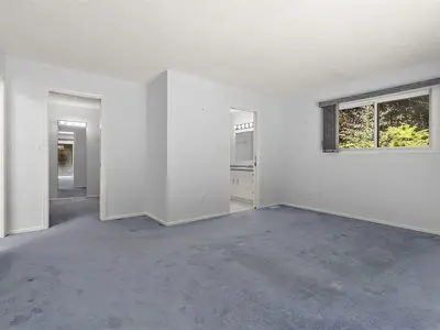 View 15