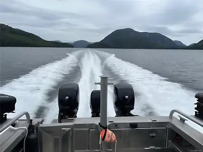 View 24
