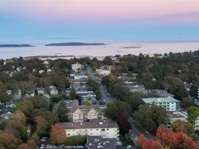 View 39