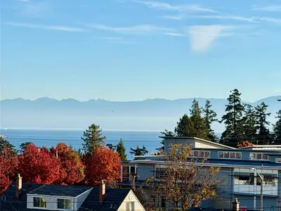 View 32