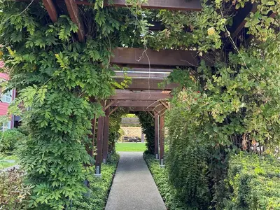 View 28