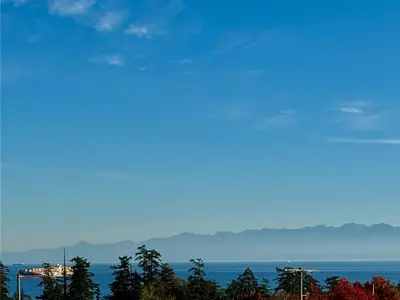 View 31