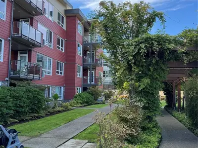 View 29
