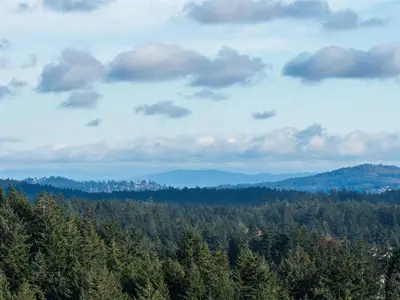 View 21