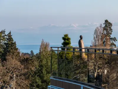View 22