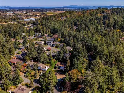 View 27
