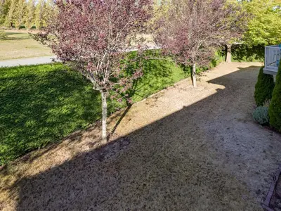 View 27