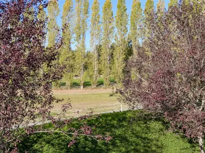 View 24