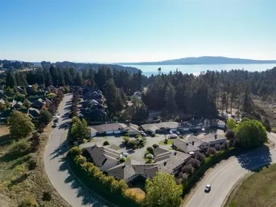 View 64