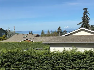 View 37