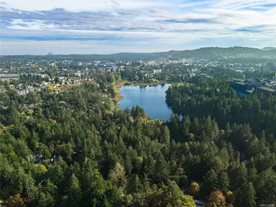 View 39