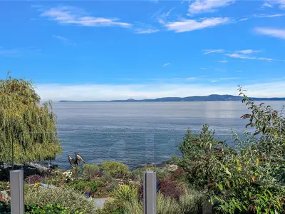 View 61