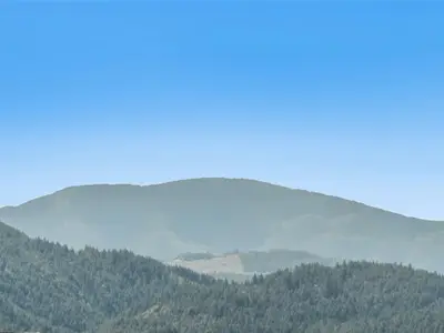 View 14