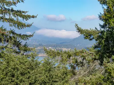 View 42