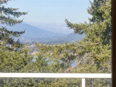 View 12