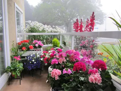View 26