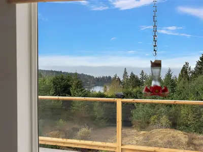 View 14