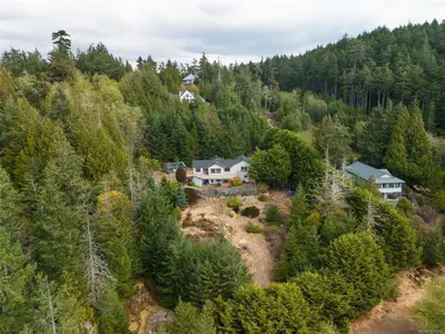 View 50
