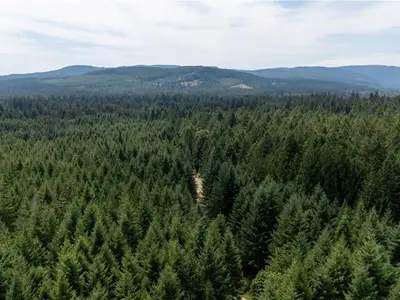 View 36
