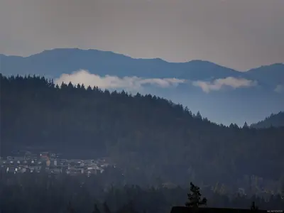 View 37