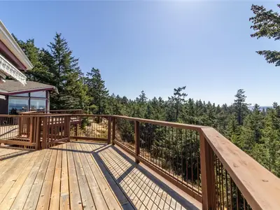 View 41