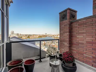 View 31