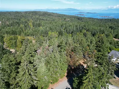 View 6
