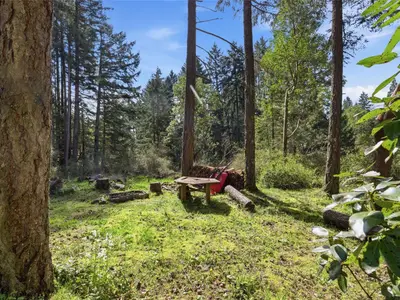 View 34