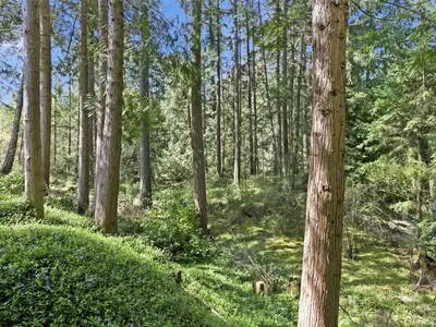 View 35