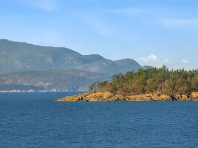 View 31