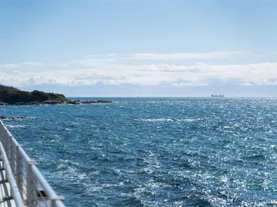 View 34