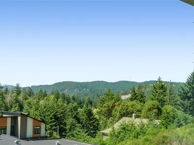 View 19
